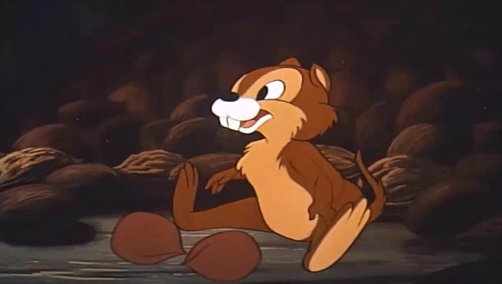 リスの住宅難の画像