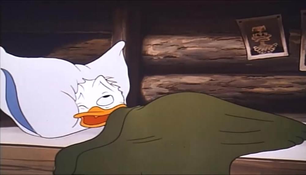 リスの住宅難の画像