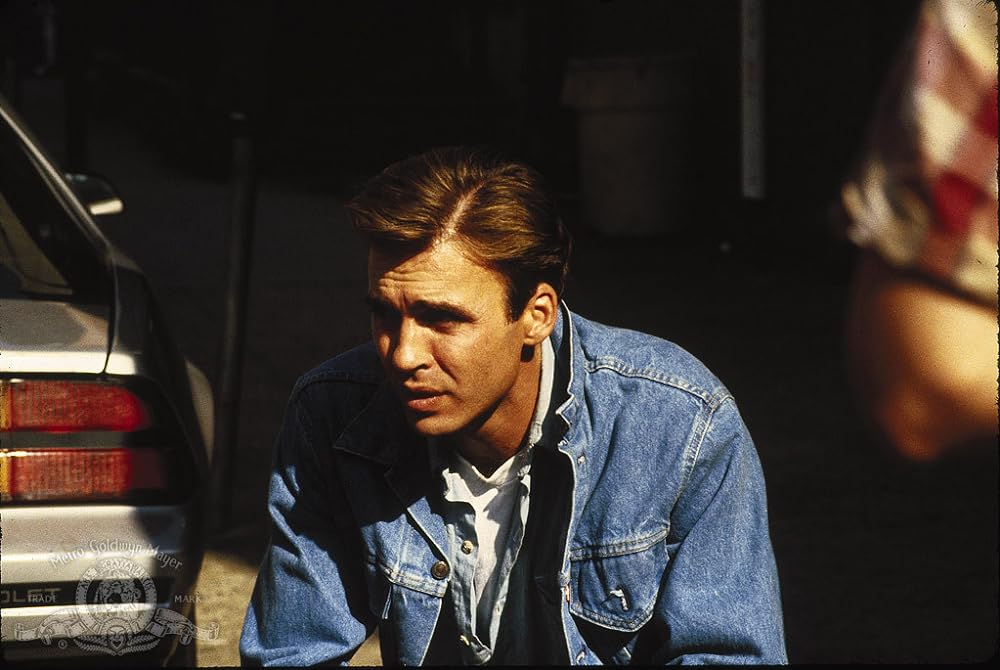 男は死んで血を流せの画像