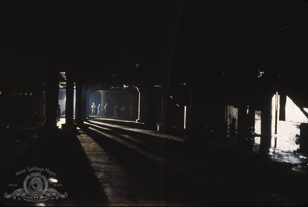 男は死んで血を流せの画像