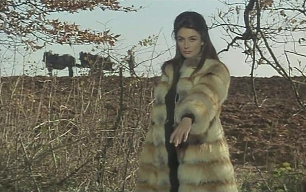 イヴ・モンタンの深夜列車の画像