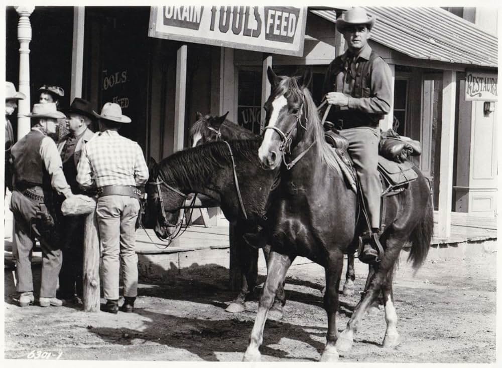 ガン・ホークの画像