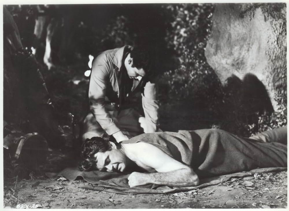 ガン・ホークの画像