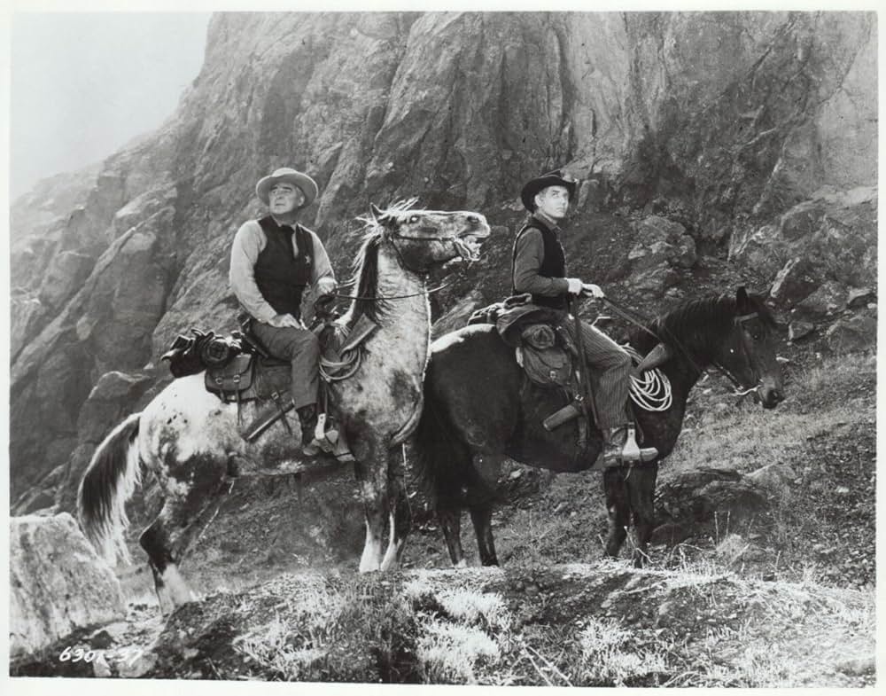 ガン・ホークの写真