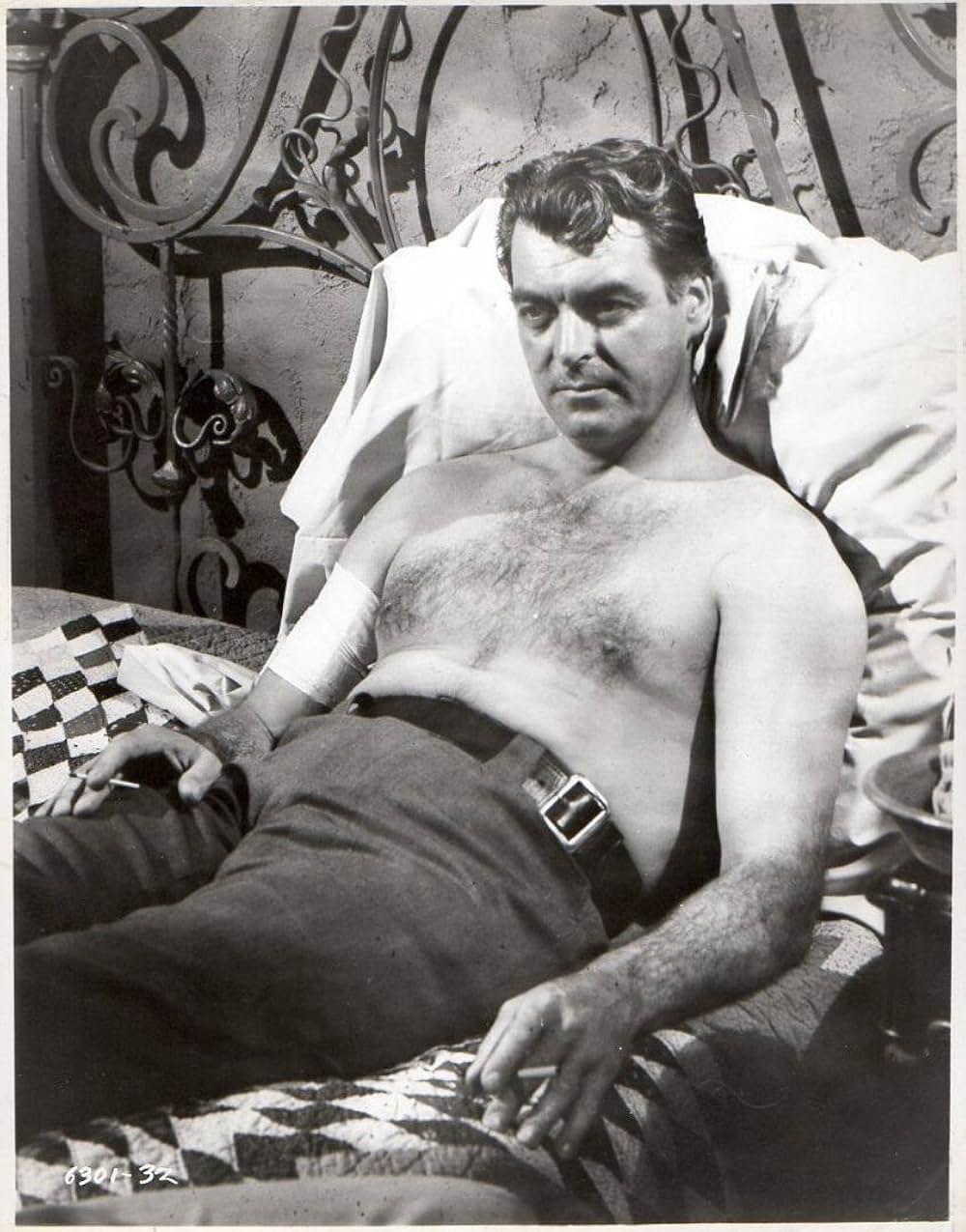 ガン・ホークの画像