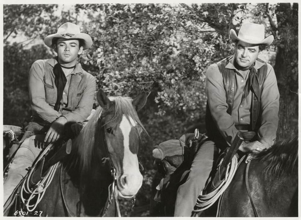 ガン・ホークの画像