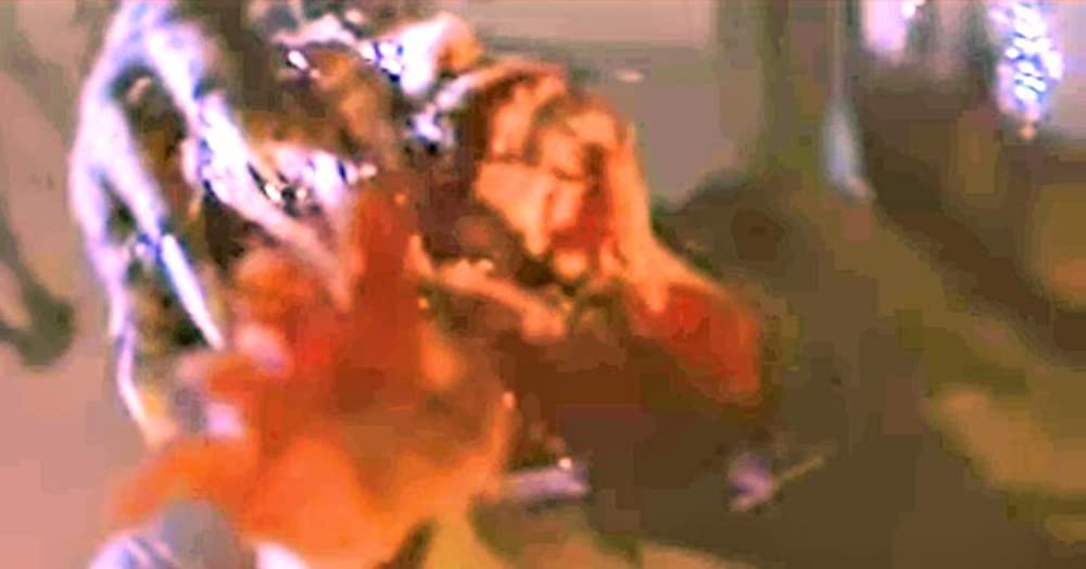 ドッグ・ソルジャーの画像