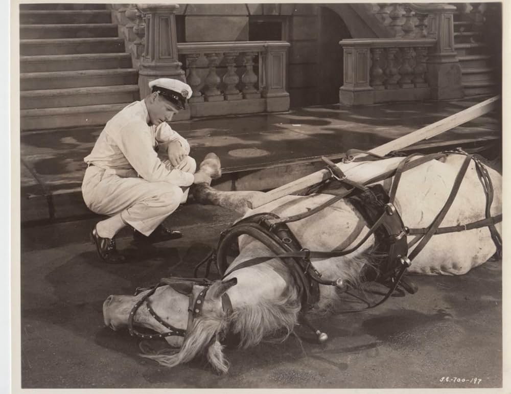 ダニー・ケイの牛乳屋の画像