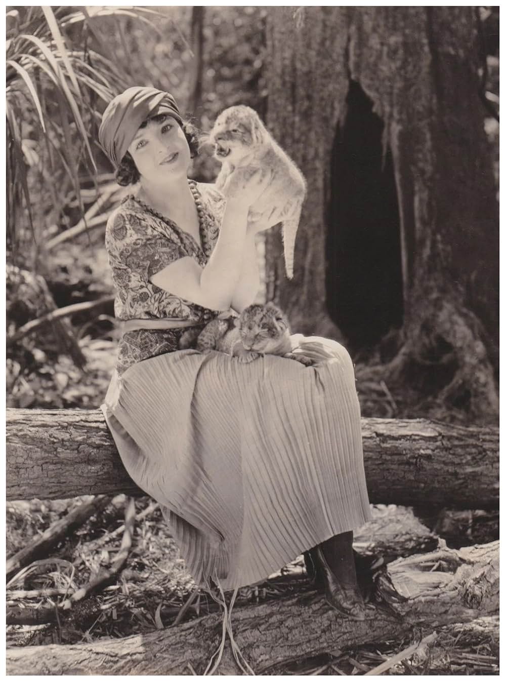 ターザン第二世の画像