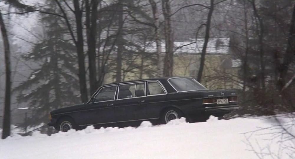 ゴーリキー・パークの画像