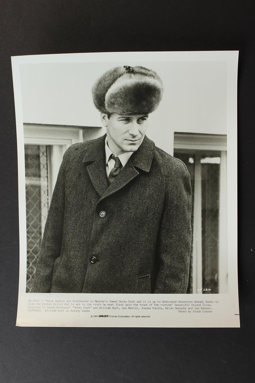 ゴーリキー・パークの画像