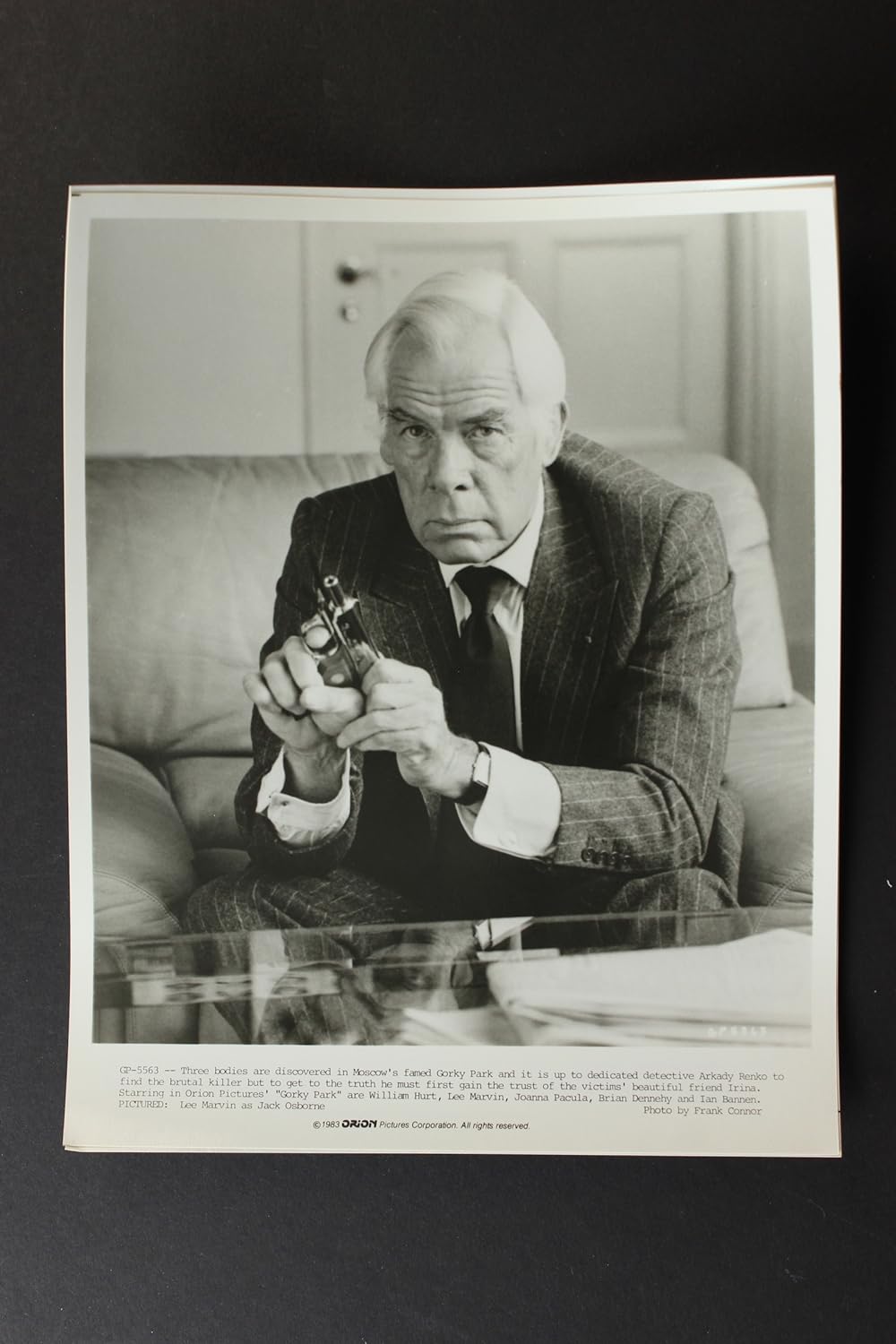 ゴーリキー・パークの画像