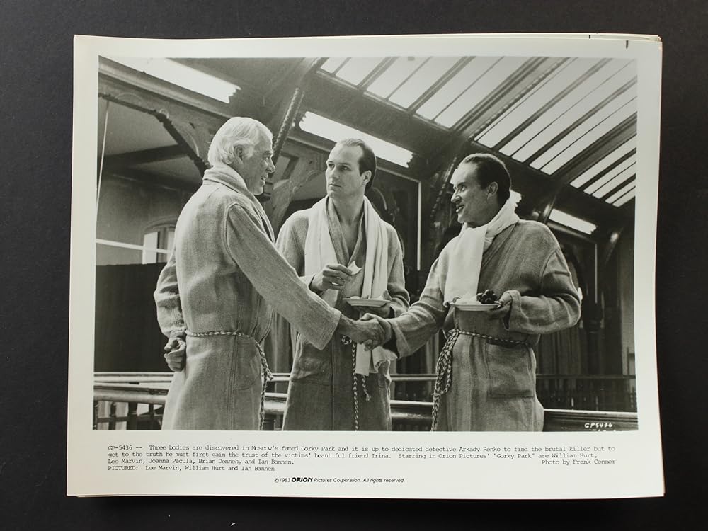 ゴーリキー・パークの画像