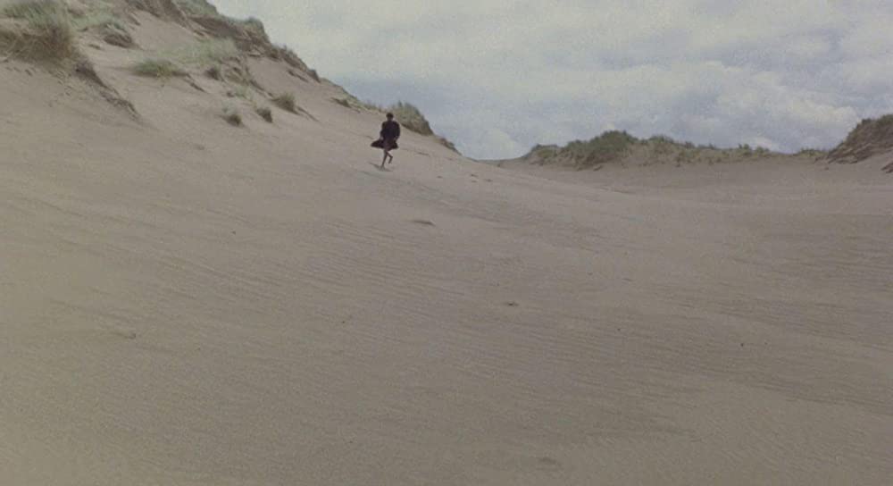 ザ・シャウト／さまよえる幻響の画像