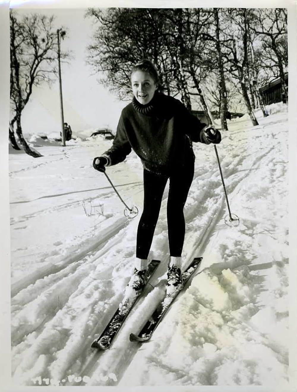 テレマークの要塞の画像