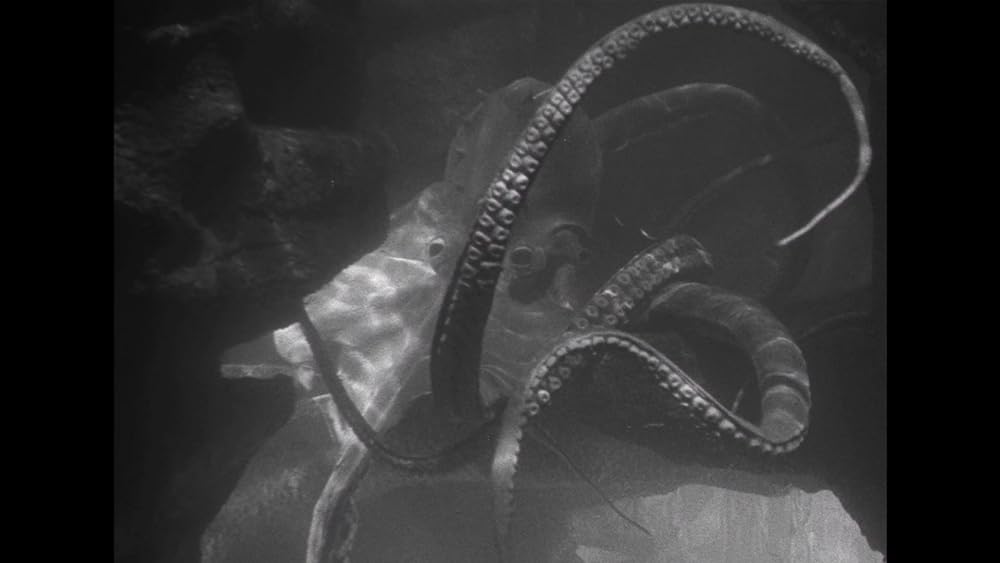 怒涛の果ての画像