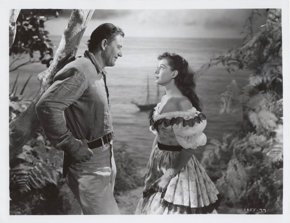 怒涛の果ての画像