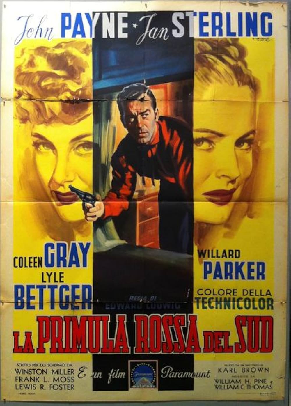 南部魂は消えず／立ち向かう男の画像