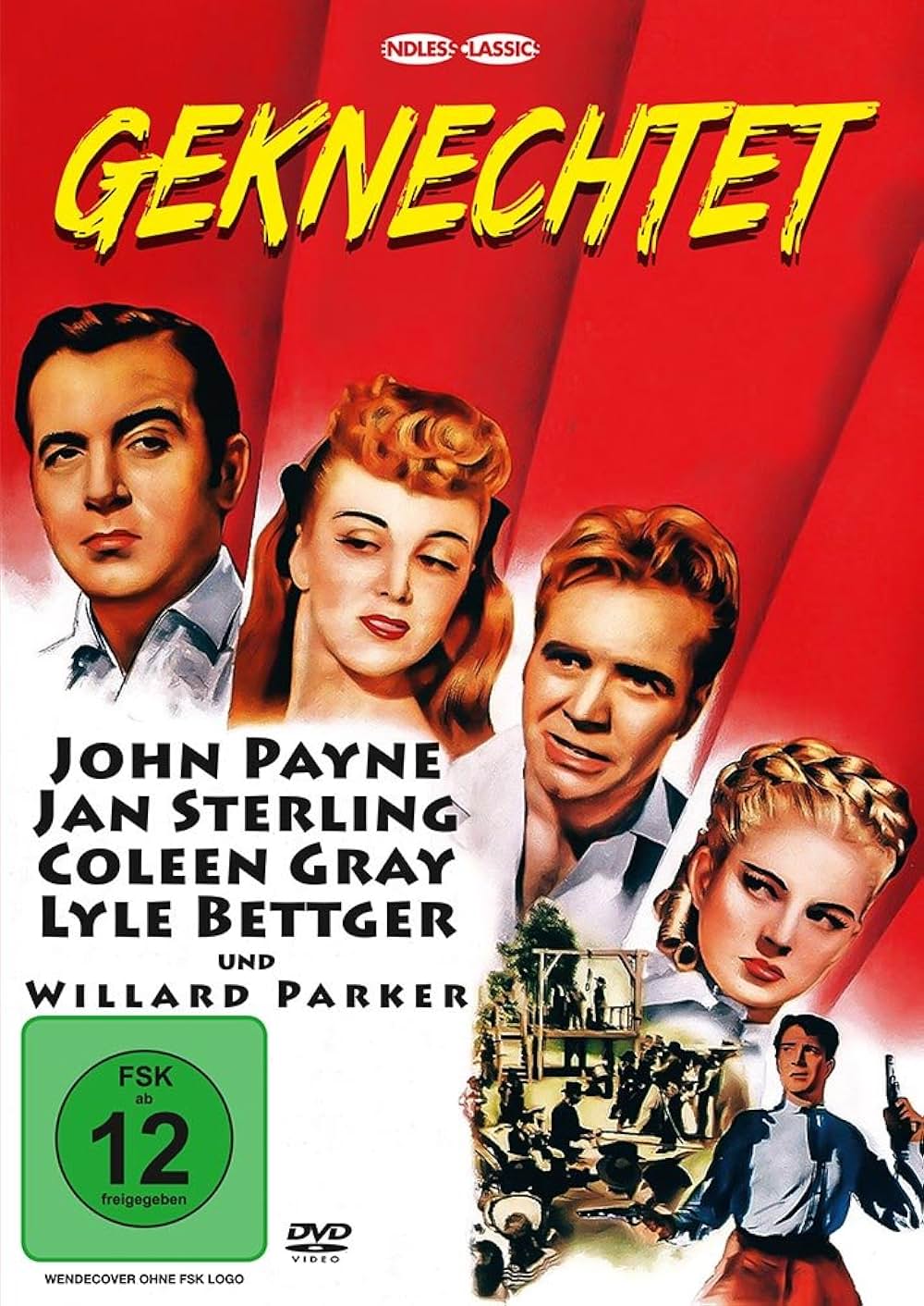 南部魂は消えず／立ち向かう男の画像