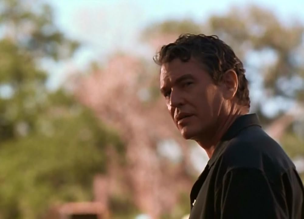 シェイドの画像