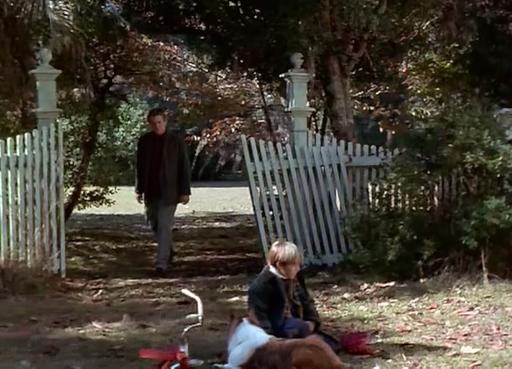 シェイドの画像