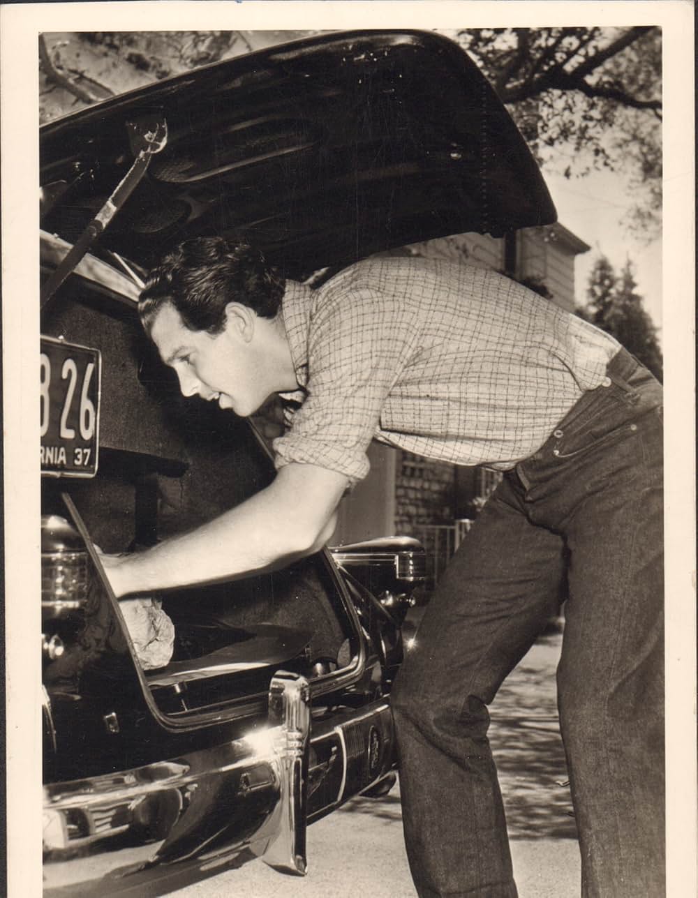 真実の告白の画像