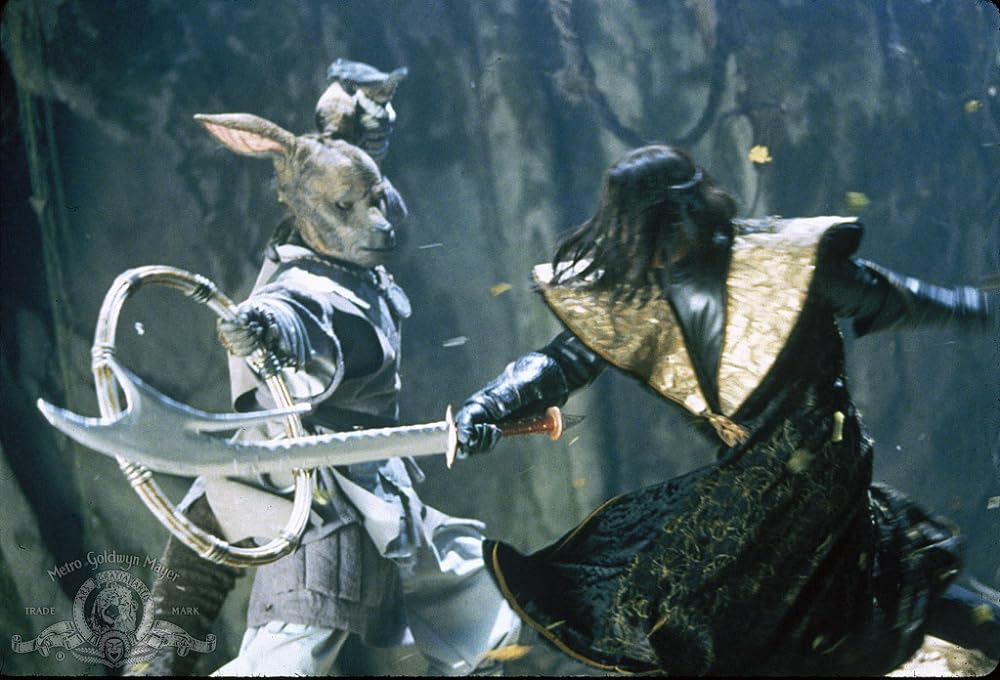 タオの伝説の画像