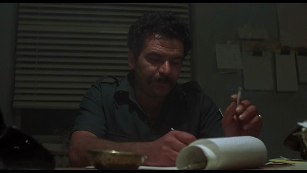 ミッドナイト・エクスプレスの画像