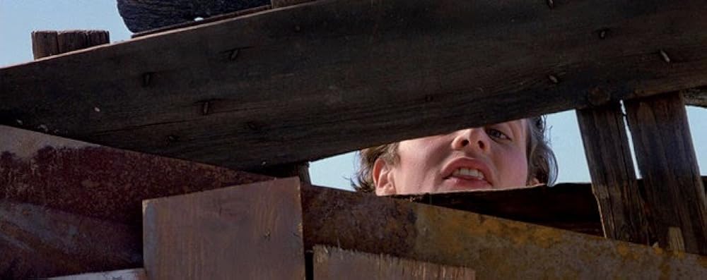 ファンタスティック・ムーンの画像