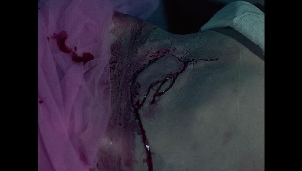 悦楽集団の画像