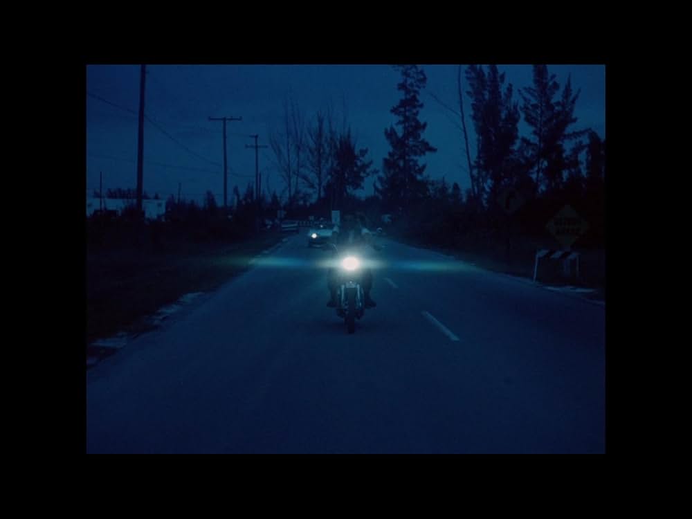 悦楽集団の画像