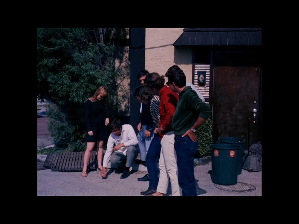 悦楽集団の画像