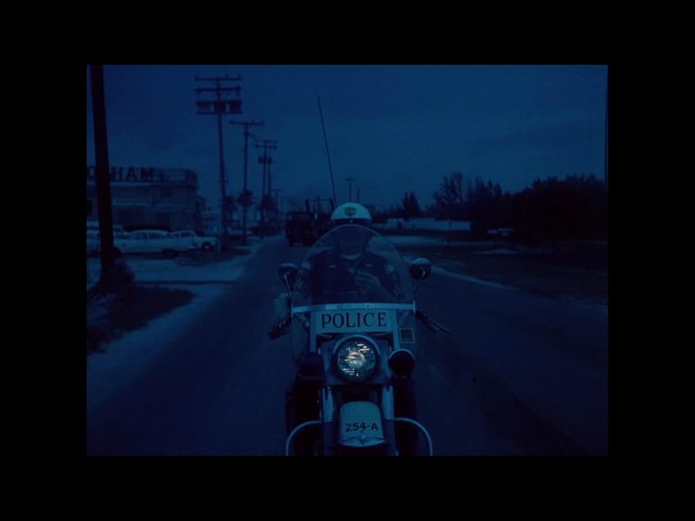 悦楽集団の画像