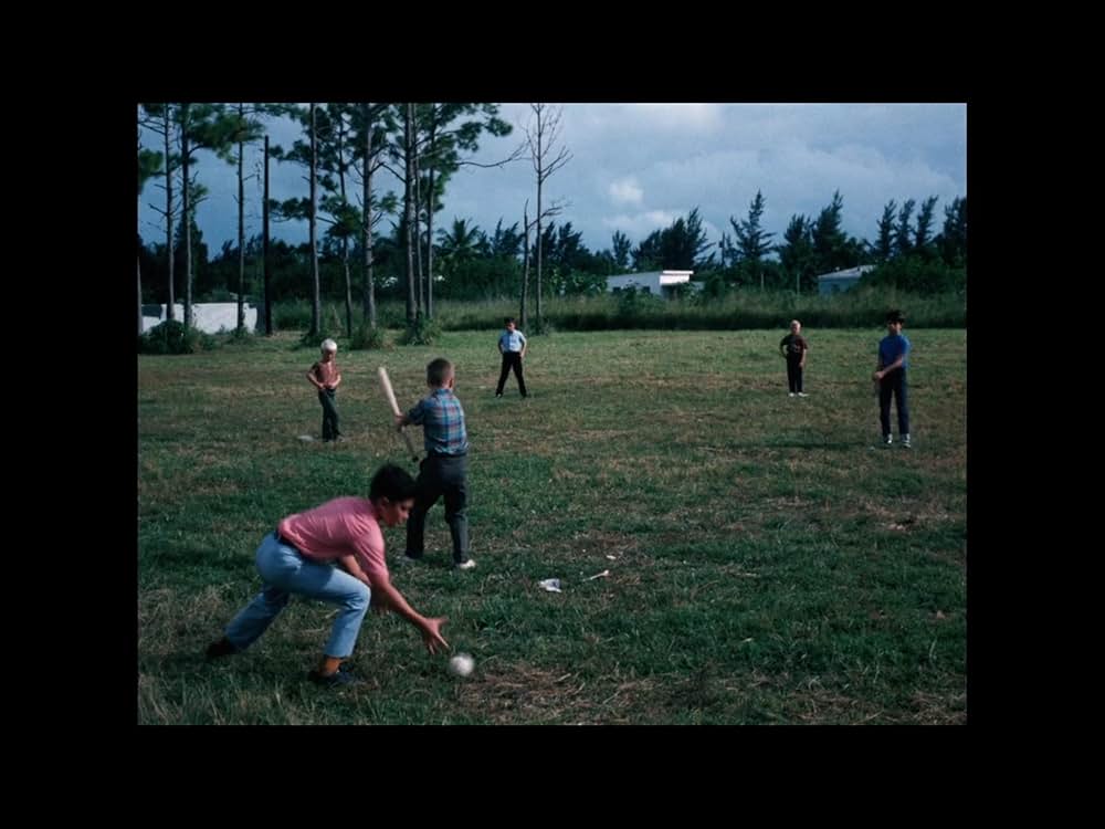 悦楽集団の画像