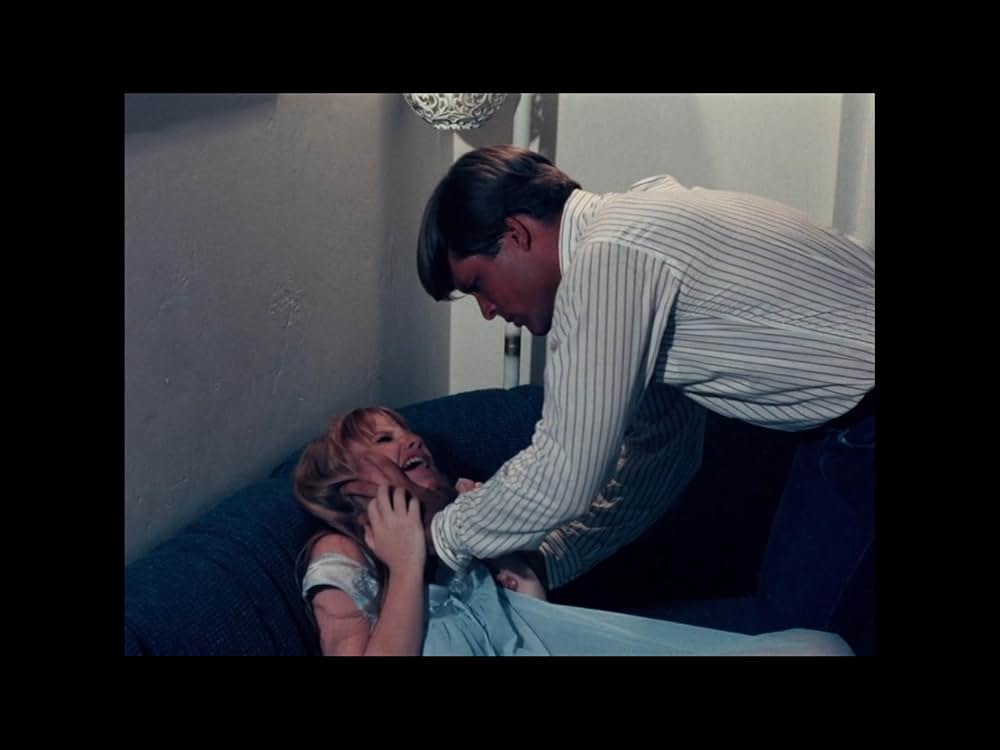 悦楽集団の画像