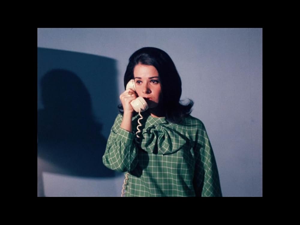 悦楽集団の画像