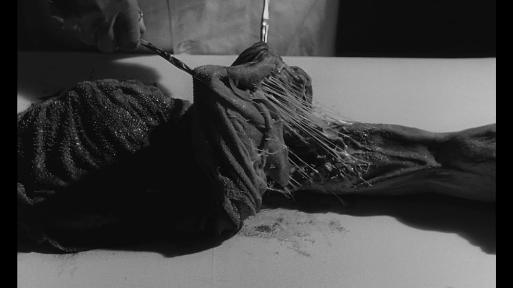 カルティキ／悪魔の人喰い生物の画像