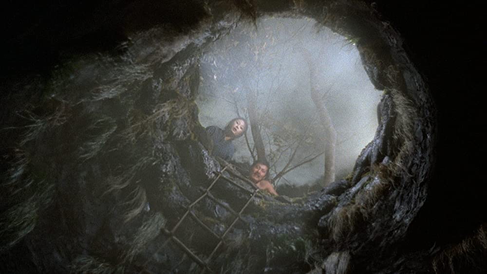 愛の亡霊の画像