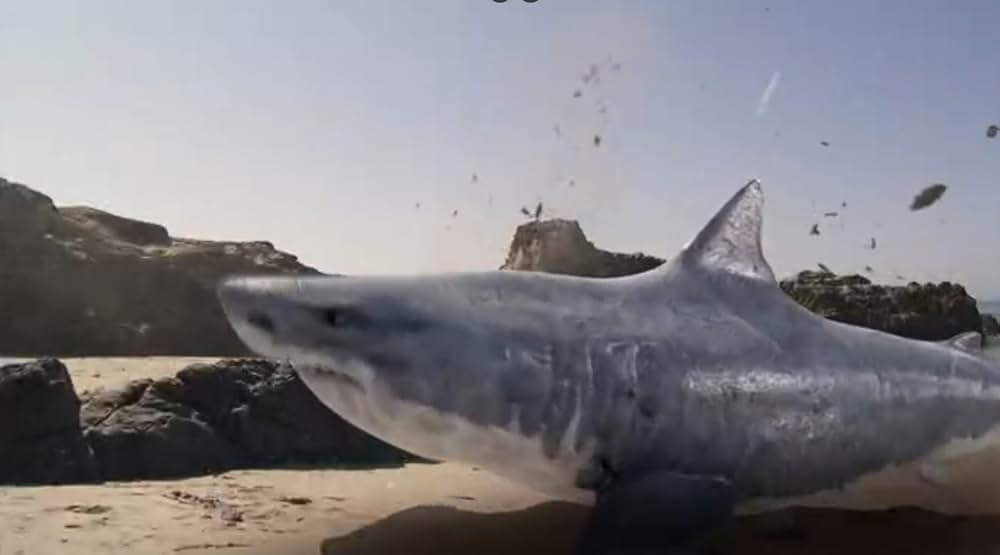 シャーク・アタック！！の画像