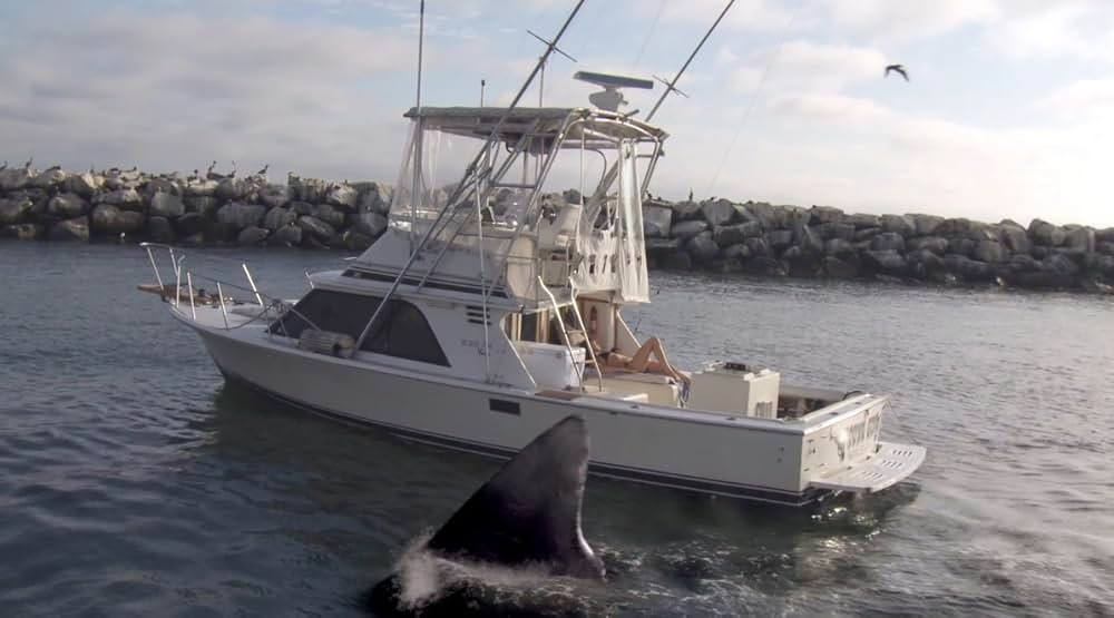 シャーク・アタック！！の画像