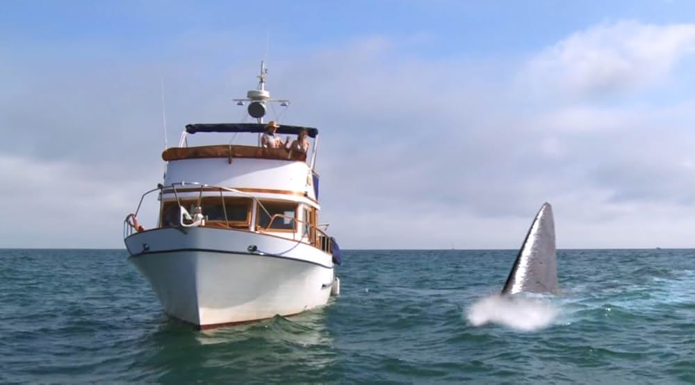 シャーク・アタック！！の画像