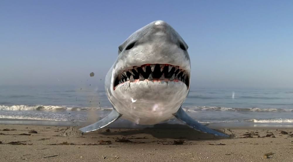 シャーク・アタック！！の画像