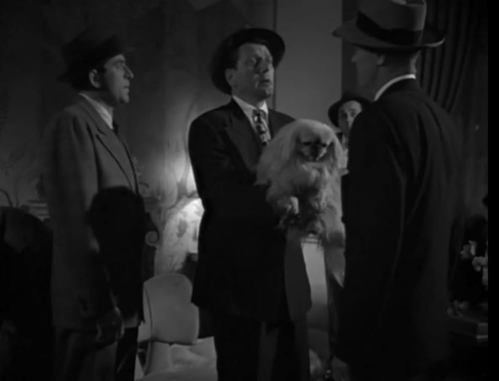 サイド・ストリートの画像