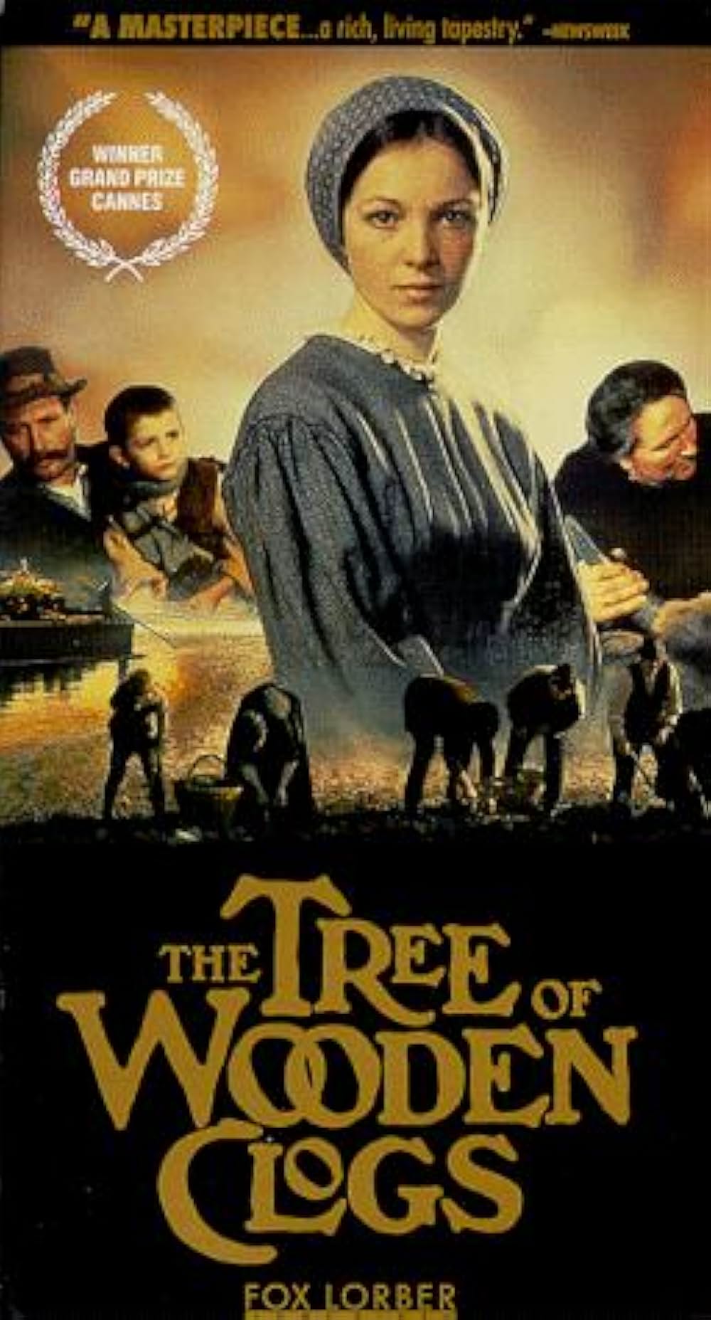 木靴の樹の画像