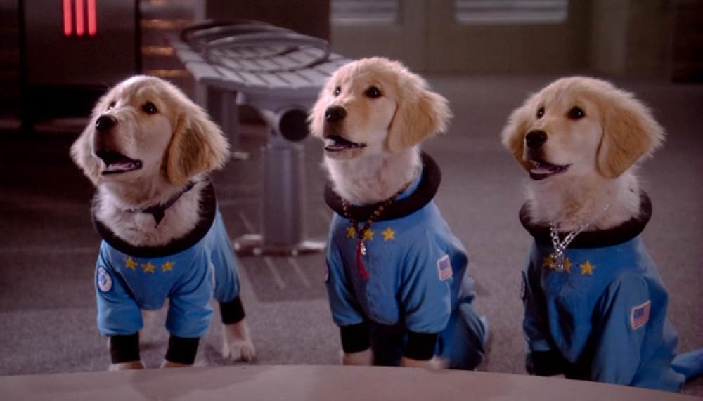 スペース・バディーズ 小さな5匹の大冒険の画像