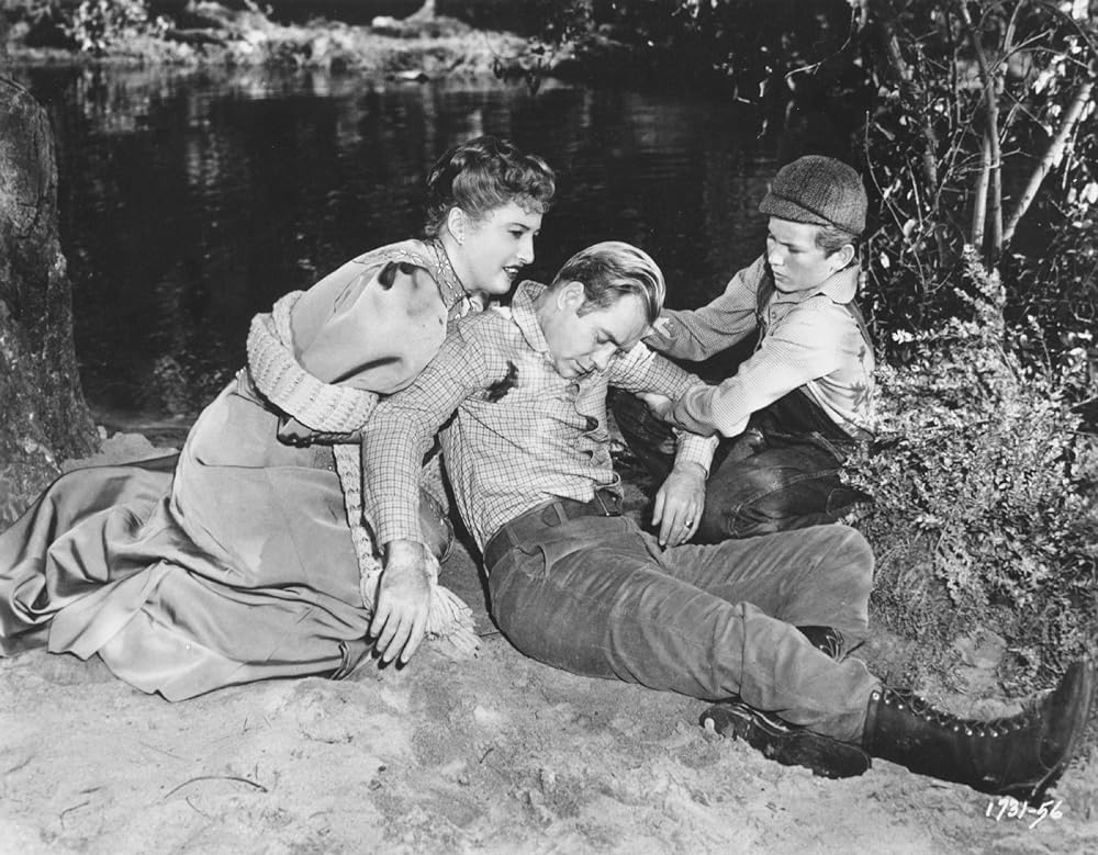 わたしの願い／わが望みのすべての画像