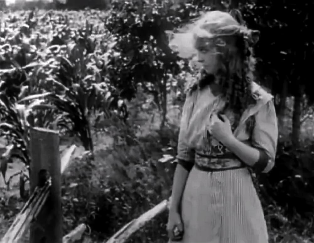 見えざる敵の画像