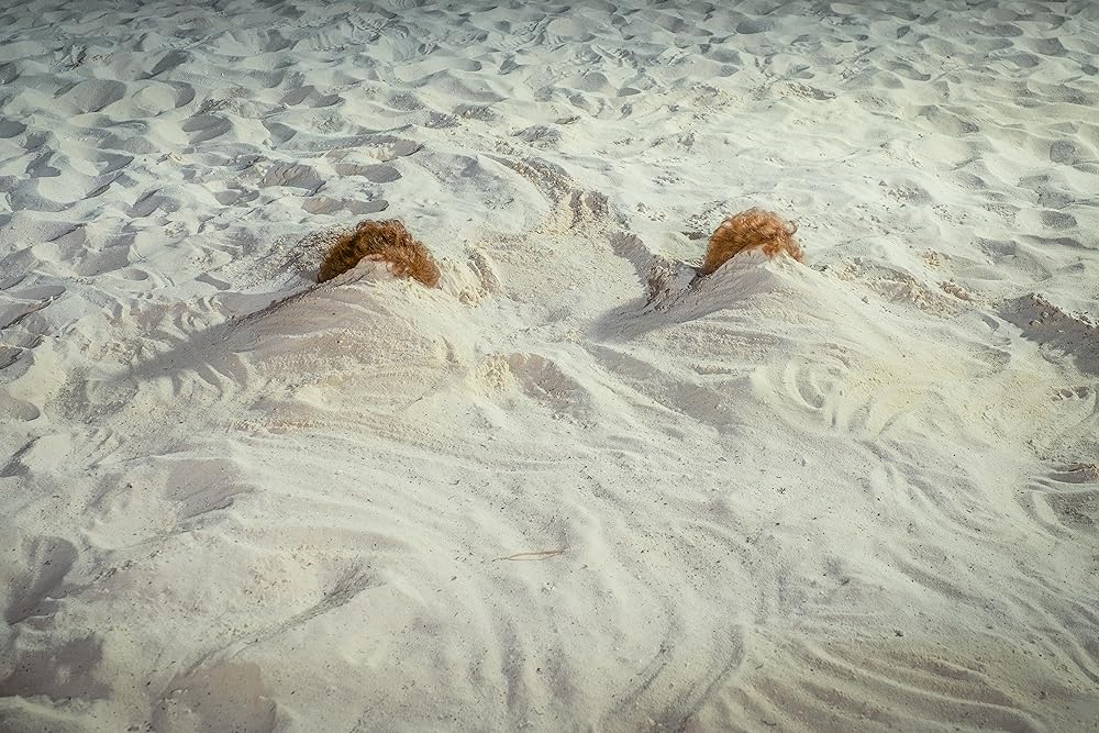 バーブ&スター ヴィスタ・デル・マールへ行くの画像