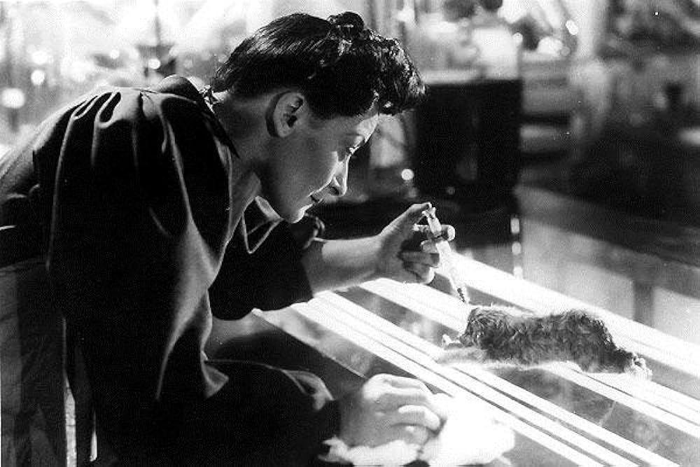 悪魔の人形の画像