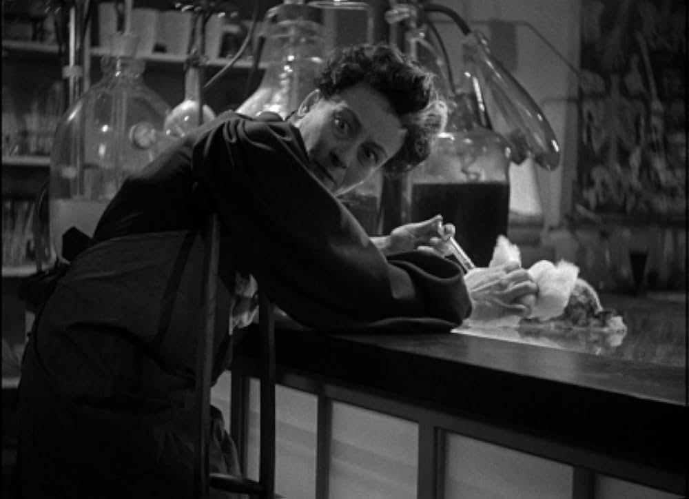 悪魔の人形の画像